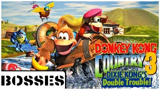 Donkey Kong Country 3 - All Bosses (No Damage) + Ending // SNES