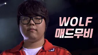 역체폿에서 악성페까로 돌아온 역대급 울프 매드무비 (Best of wolf montage)