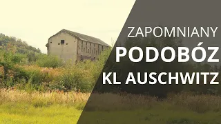 Arbeitslager Golleschau - a forgotten subcamp of KL Auschwitz in Goleszów (Cieszyn Silesia)