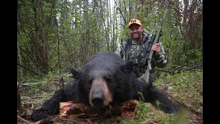 Black Bear Hunt in Saskatchewan