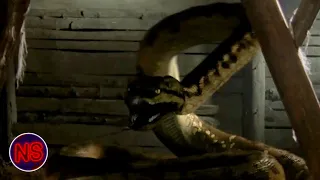 Anaconda Attack in the Mine | Anacondas: Trail of Blood (2009)