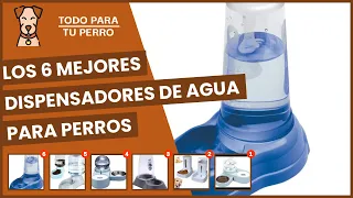 Los 6 mejores dispensadores de agua para perros