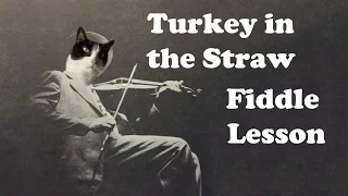 Turkey in the Straw - Basic Fiddle Lesson