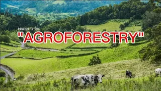 Agroforestry: A Win-Win Solution for Agriculture and the Environment