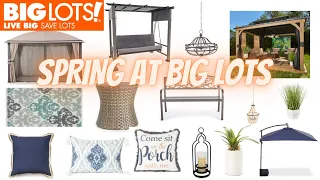 BIG LOTS SPRING * SHOP WITH ME #biglots #shopwithme #windowshopper