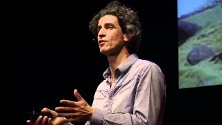 Our worldview forbids us the world of tomorrow | Yannick Roudaut | TEDxNantes