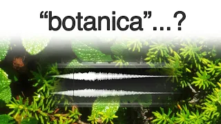 how to botanical sound impacts - from a nintendo logo