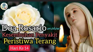 Doa Rosario Mohon Kesembuhan Penyakit, Peristiwa Terang, Hari Ke 14 ‼