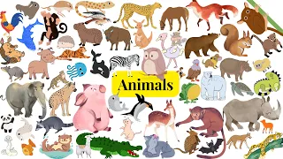 Animals vocabulary | animals names in english