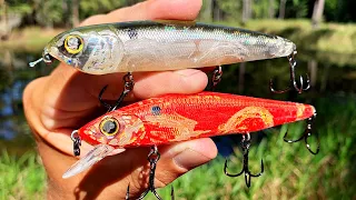 DON'T GO Fall Fishing WITHOUT These Top 3 Fall Lures!!
