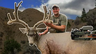 Bowhunting Mule Deer | Velvet Buck SMOKED On Opening Day!