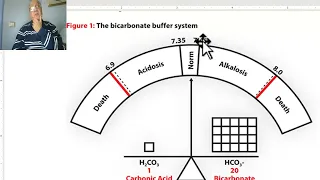 Acid and base balance ( part 1), by Dr. Wahdan