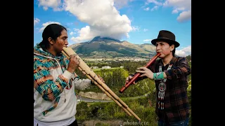 INSTRUMENTAL MUSIC OF THE ANDES