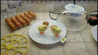 Sailnovo Egg Incubator 18 Eggs Incubator with Auto Egg turning, Auto Humidity