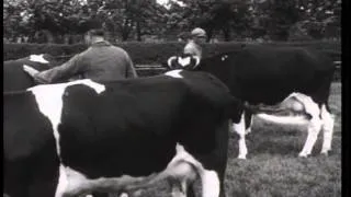 Het boerenleven - 1931