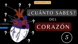 ¿Cuánto Sabes de "ANATOMÍA de la Configuración externa del Corazón"? TEST SOBRE EL CUERPO| Test