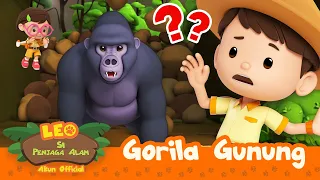 Pemimpin GORILA GUNUNG hilang! 🦍 | Gorila Gunung | Leo Si Penjaga Alam | #minisode