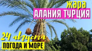 АЛАНИЯ 24 АВГУСТА ЖАРА ПОГОДА И МОРЕ СЕГОДНЯ В ALANYA ТУРЦИЯ