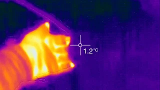 FLIR ONE - Test Video(snow test)