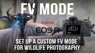 Canon R5 Custom Shooting Mode with Flexible Priority (Fv)