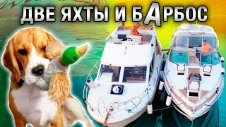 ШЕСТЕРО В ЛОДКАХ И БАРБОС  - в поисках ПРИКЛЮЧЕНИЙ! Рыбачим вниз по Волге. ч.1