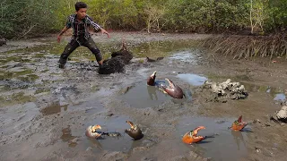 Amazing Hunting King Mud Crabs after Water Low Tide | Survival Catch Sea Crabs and Cooking for Food