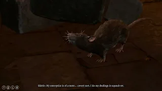 Skittle the Rat Merchant in Baldur's Gate 3