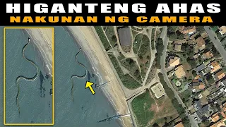 Dambuhalang AHAS NAKUNAN ng CAMERA? | PINAKAMALAKI o Dambuhalang SAWA sa BUONG MUNDO? Titanoboa