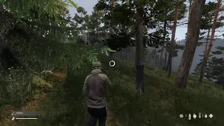 DayZ Cannibal laughter