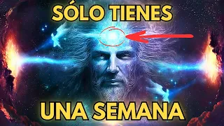 Antes de que sea eliminado. Un mensaje a todos los seres de luz ✨🪬