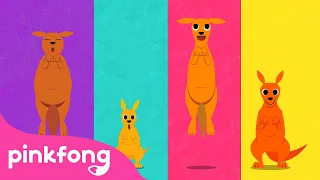 Kanguru, si pelompat tinggi | Lagu Binatang | Kartun & Lagu Anak | Pinkfong dan Baby Shark