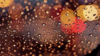 Cozy Midnight Drive in the Rain