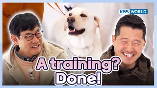 That would be perfect🤩 [Dogs Are Incredible : EP.216-3] | KBS WORLD TV 240423