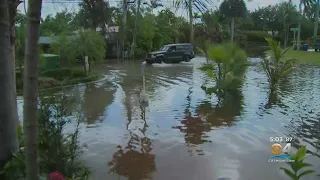 Fort Lauderdale, Miami Beach Feeling The Effects Of Seasonal King Tides