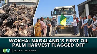 WOKHA: NAGALAND’S FIRST OIL PALM HARVEST FLAGGED OFF