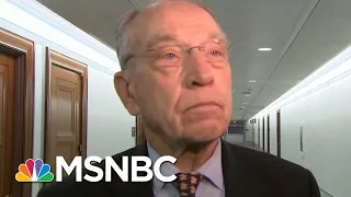 Senator Chuck Grassley Revives Pre-Midterm Caravan Talk | Morning Joe | MSNBC