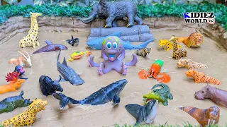 African Safari Animals & Sea Creatures in the Muddy Sandbox! | Kids Fun Learning Video