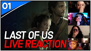 The Last of Us 1x1 Reaction & Discussion