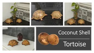 coconut shell craft | tortoise making with coconut shell | coconut shell reuse ideas | diy