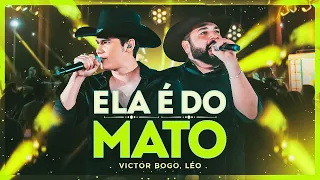 Victor Bogo - Ela é do Mato ft. Léo (DVD Interior)