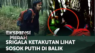 Berhasilkah Para Host Ekspedisi Merah Keluar dari Hutan Ghaib? | Ekspedisi Merah ANTV