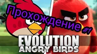 Angry Birds Evolution #1 | Прохождение | Первый взгляд