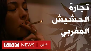 من يحقق الثراء من الحشيش المغربي؟