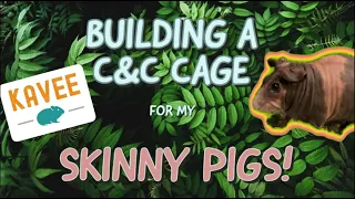 UNBOXING & Building A Kavee C&C Cage For My SKINNY PIGS!