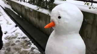 03.01.2016 в городе Сочи выпал снег))) Ну как тут не слепить снеговика, а?)))