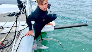 Stuck on a SUNKEN BOAT and The PERFECT Catamaran Sail Quiver