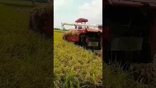 mini combine harvester #combine harvester #japan #shorts #viral #bharat #ramyoutuber9896 #farming