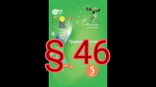 § 46 "Екологічні проблеми та їх розв'язування"//5 клас Природознавство