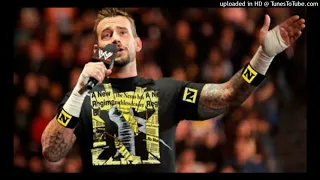 |CM Punk WWE This Fire Burns Theme Song Entrance Music Arena Effect|