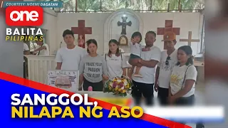 Sanggol, nilapa ng aso